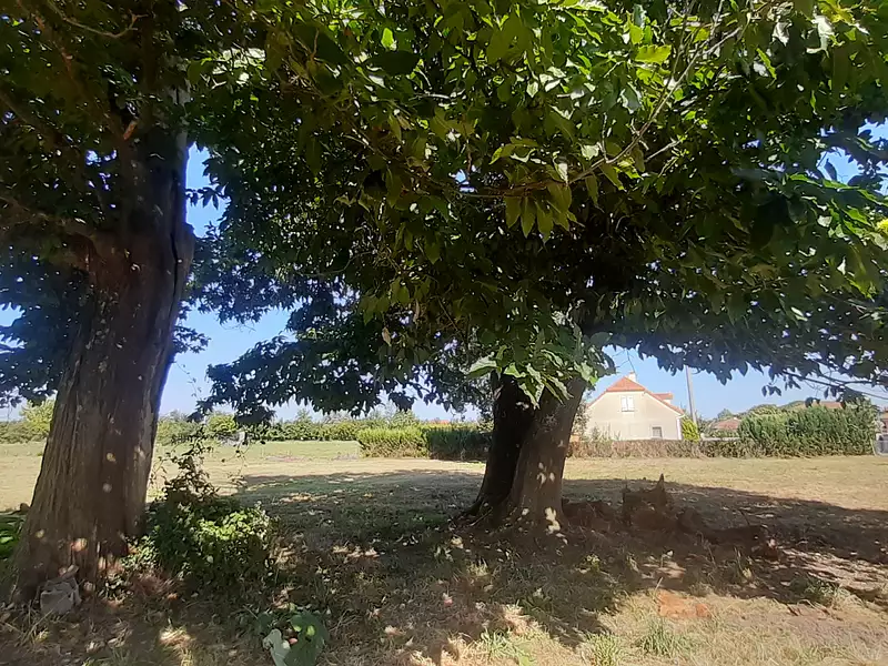 Terrain, 2 200 m²