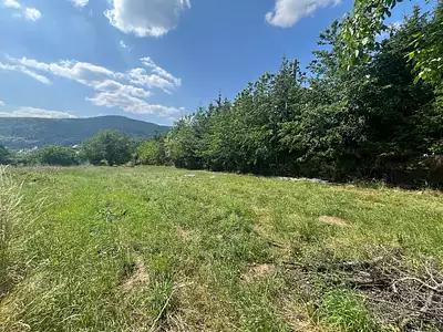 Terrain