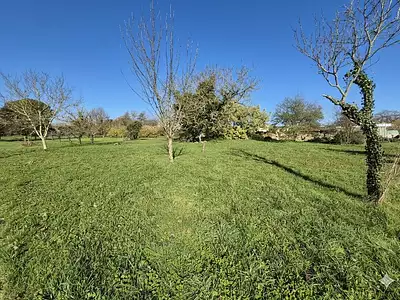 Terrain, 2 800 m²