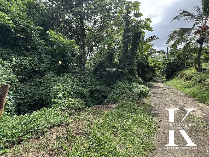 Terrain, 800 m²
