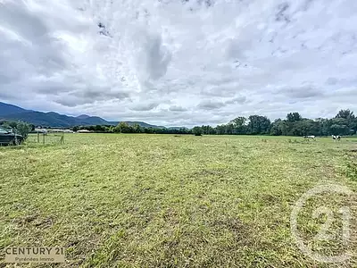 Terrain