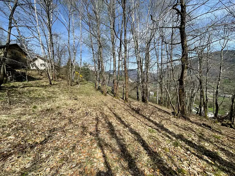 Terrain, 5 141 m²