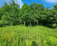 Terrain, 1 460 m²