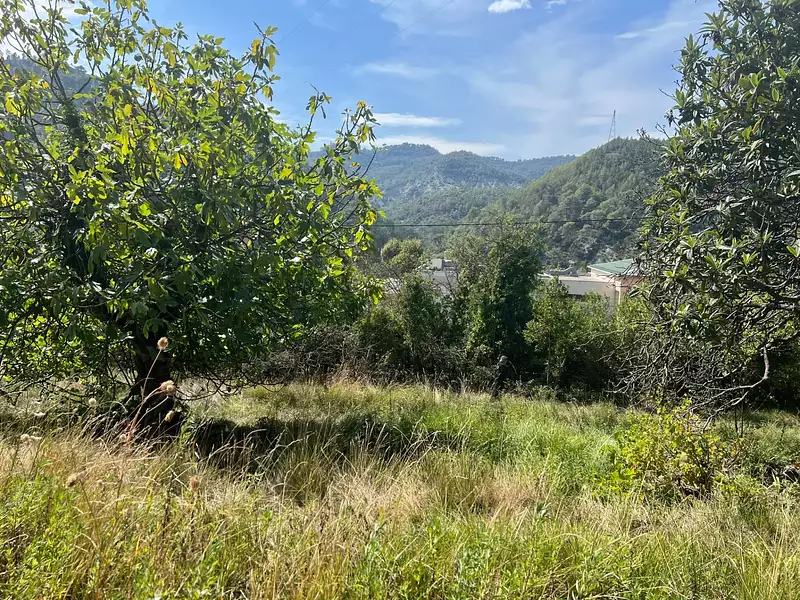 Terrain, 1 143 m²