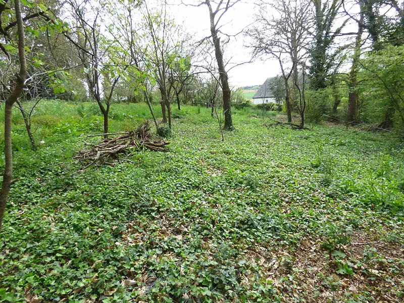 Terrain, 2 130 m²