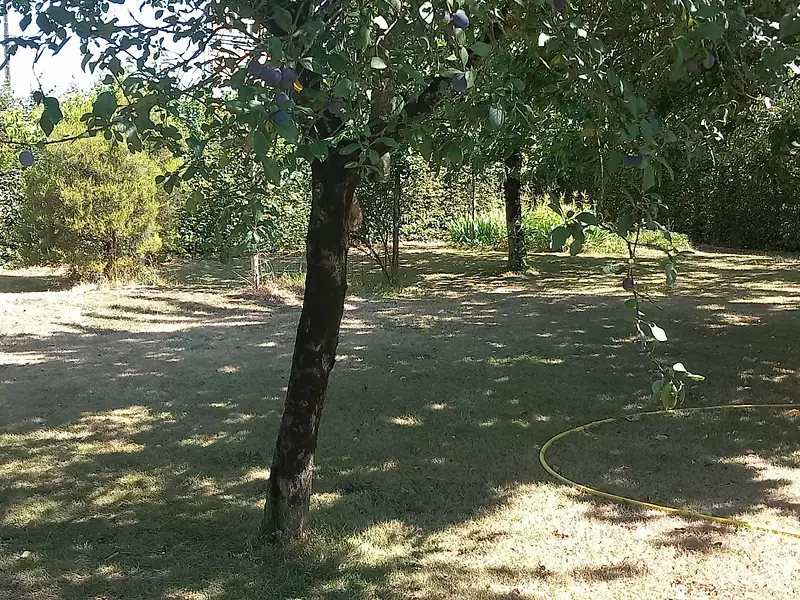 Maison, 129 m²