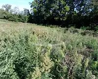 Terrain, 500 m²