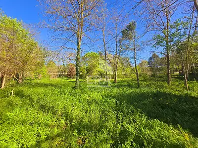 Terrain, 2 887 m²