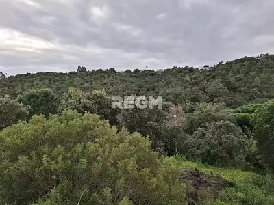 Terrain, 1 550 m²