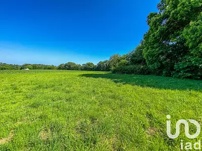 Terrain, 650 m²