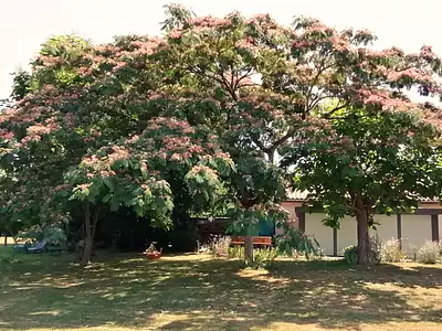 Maison, 103 m²