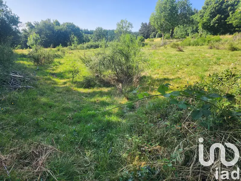 Terrain, 1 300 m²