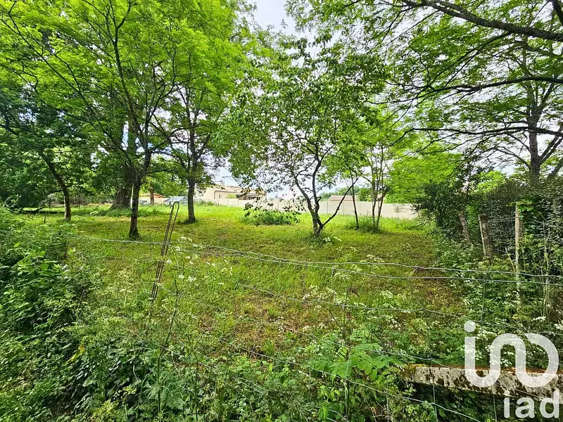Terrain, 1 295 m²