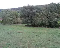 Terrain, 700 m²