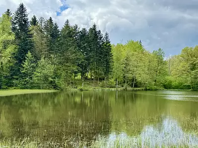 Terrain, 17 892 m²