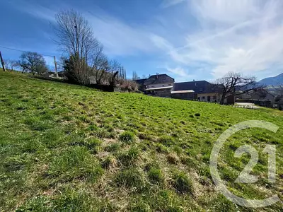 Terrain