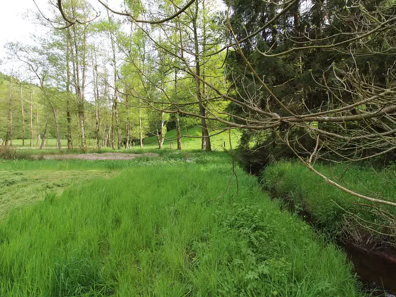 Terrain, 453 m²