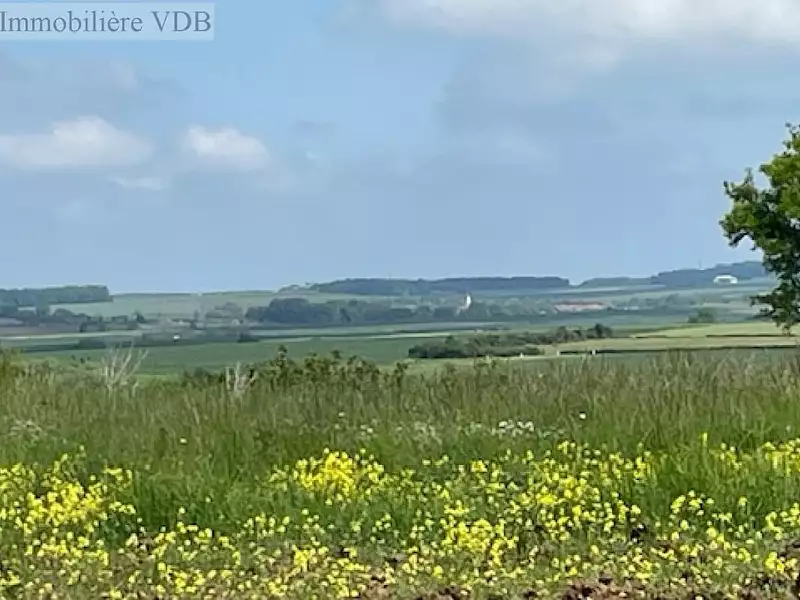 Terrain, 746 m²