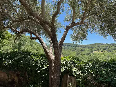 Maison, 135 m²