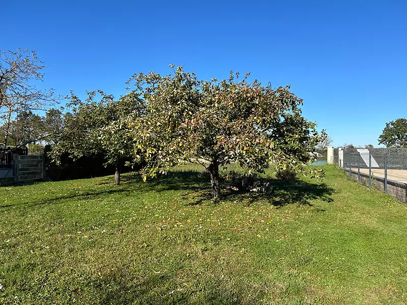 Terrain, 1 519 m²