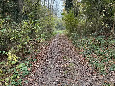 Terrain, 732 m²