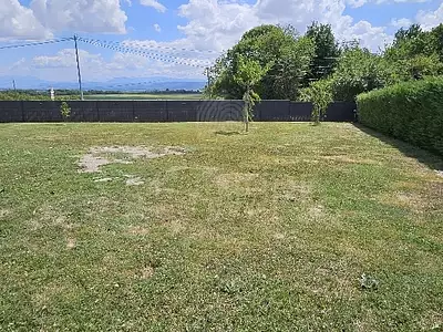 Terrain