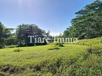 Terrain, 800 m²