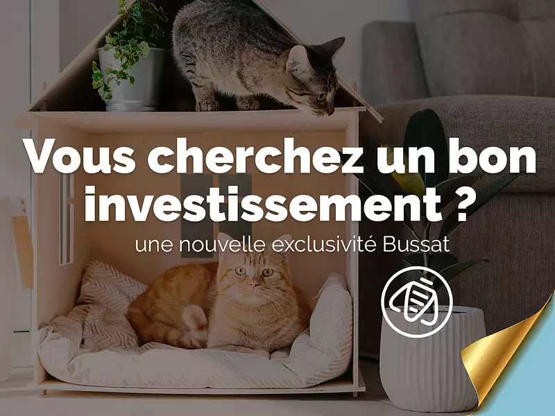 Appartement, 23,5 m²