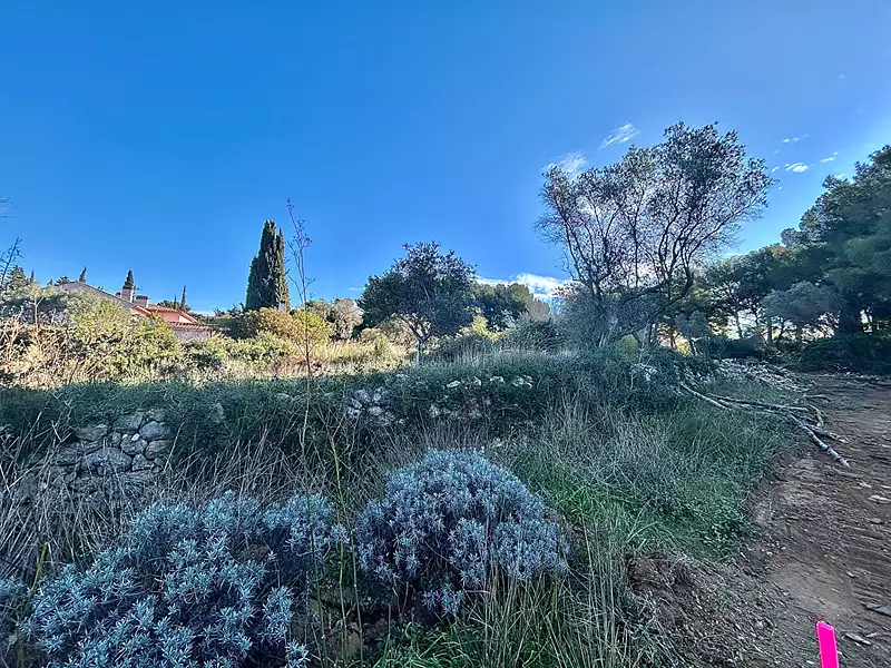 Terrain, 430 m²