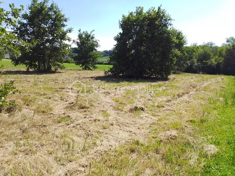 Terrain, 6 213 m²