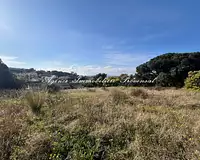 Terrain, 1 169 m²