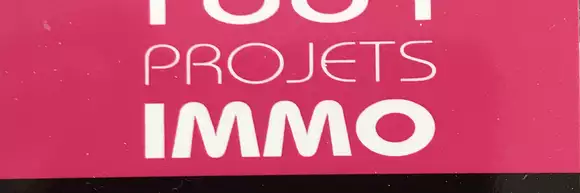 1001 PROJETS IMMO