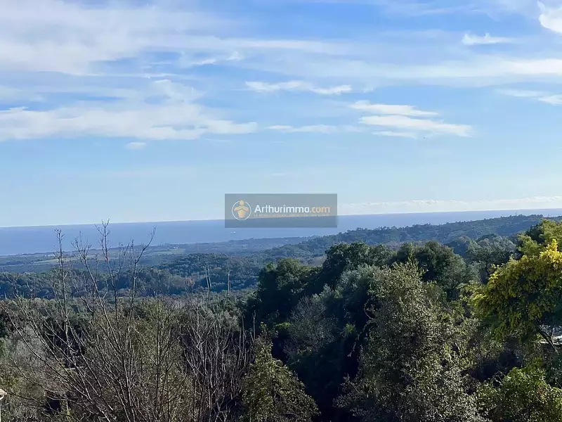 Terrain, 1 310 m²