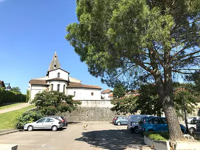 Le Licio