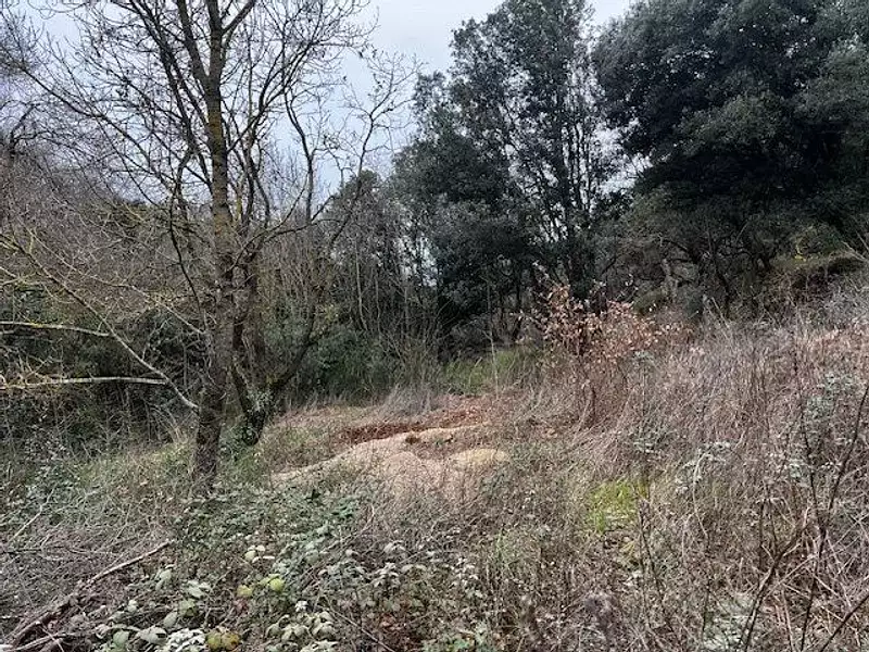Terrain, 6 290 m²