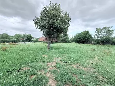 Maison, 196 m²