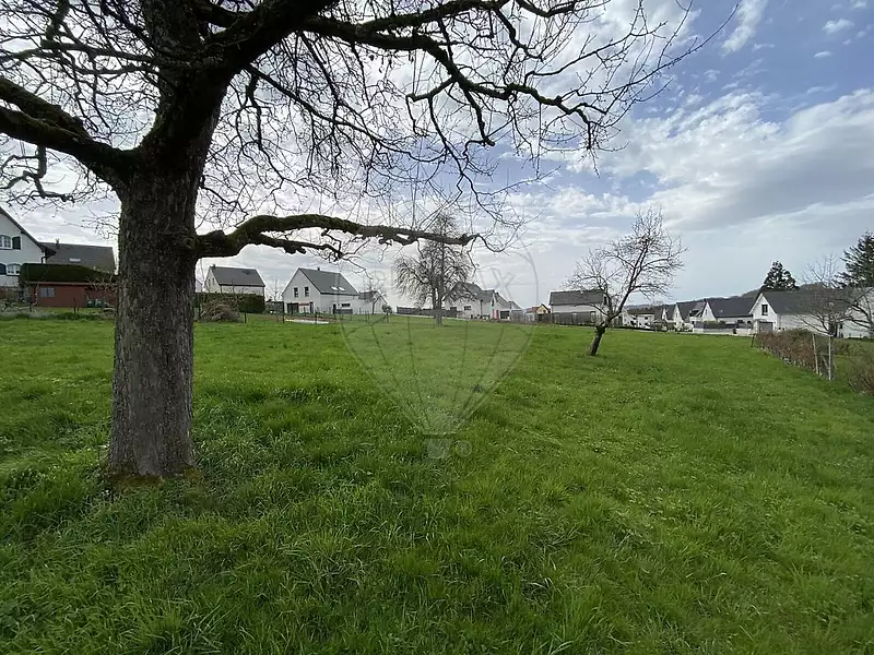Terrain, 1 248 m²
