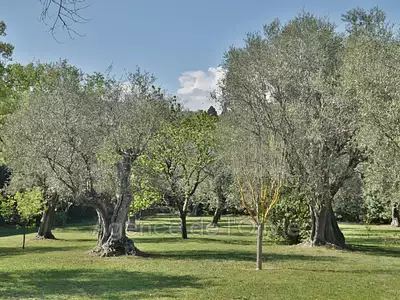 Maison, 240 m²