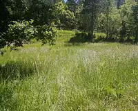 Terrain, 982 m²
