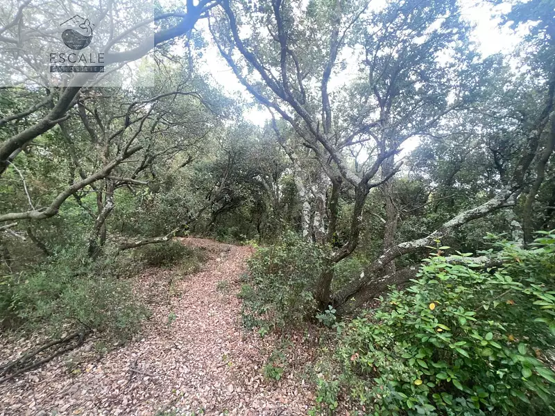 Terrain, 6 091 m²