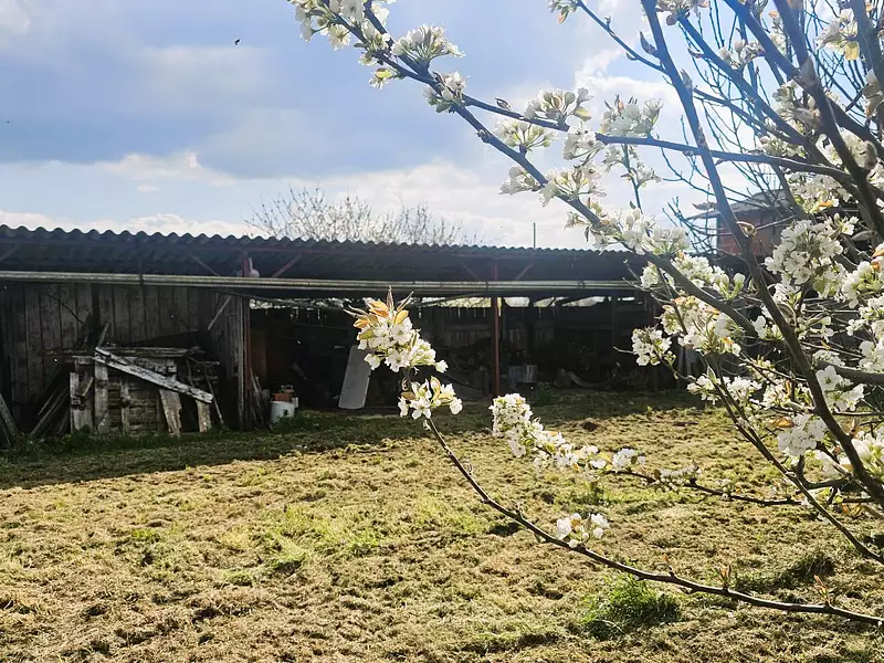 Maison, 138 m²
