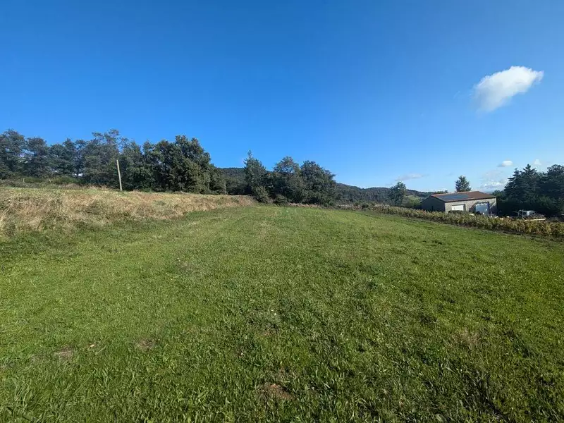 Terrain, 979 m²