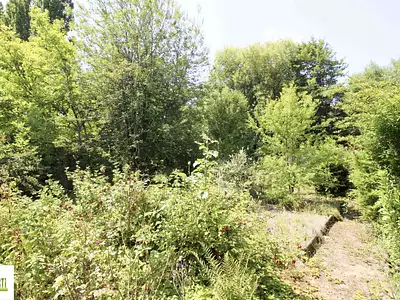 Maison, 66 m²