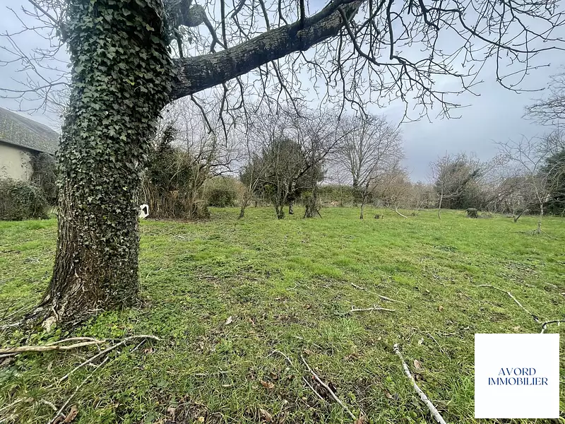 Terrain, 805 m²
