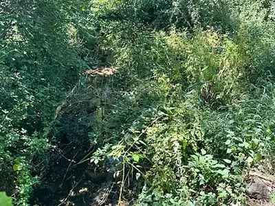 Terrain, 7 145 m²