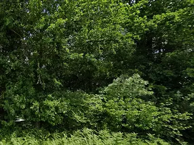 Terrain, 6 381 m²