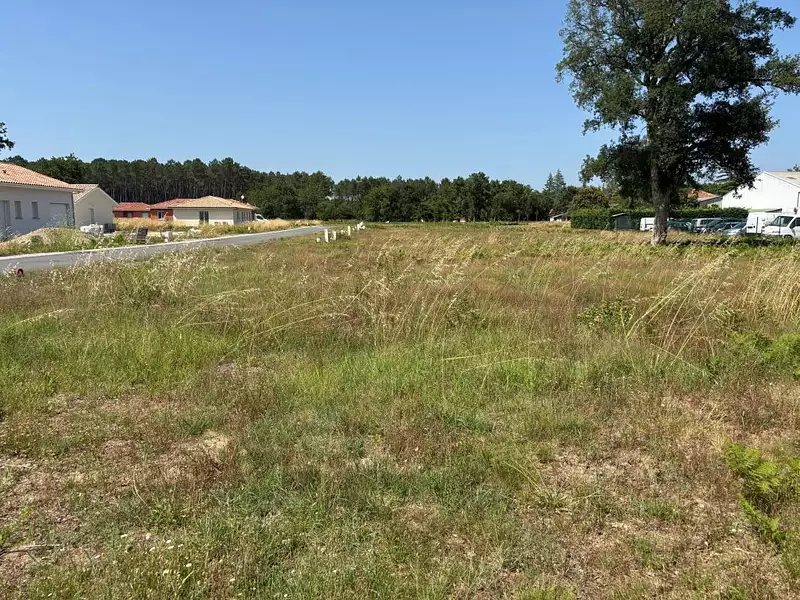 Terrain, 1 240 m²