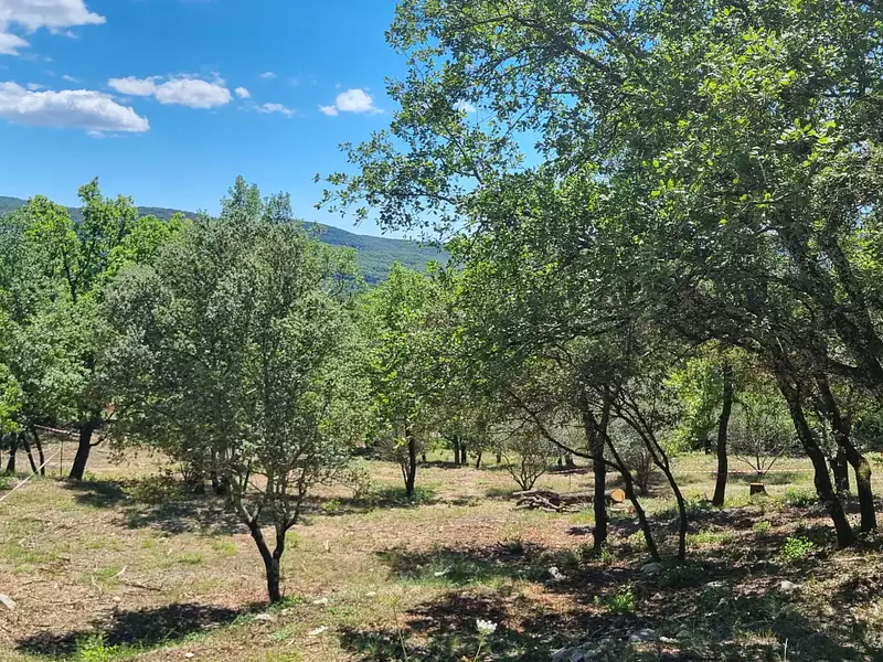 Terrain, 1 919 m²