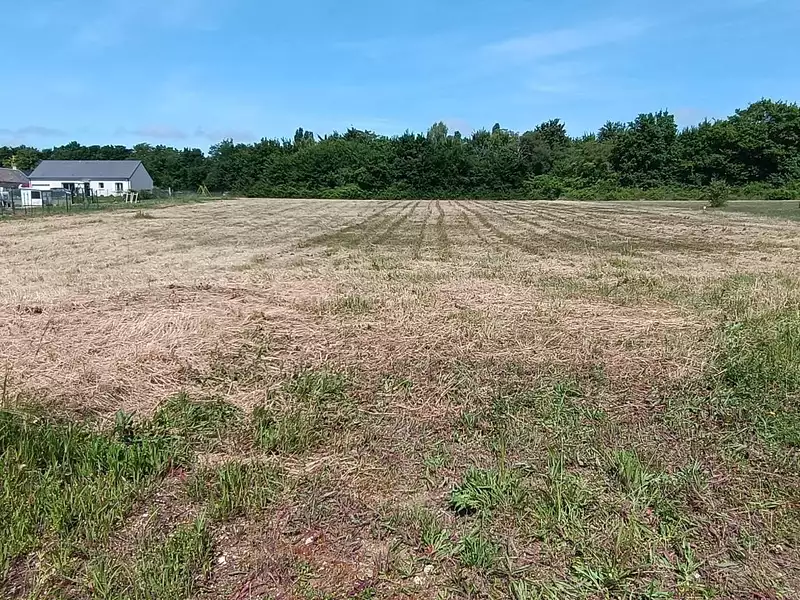 Terrain, 1 529 m²
