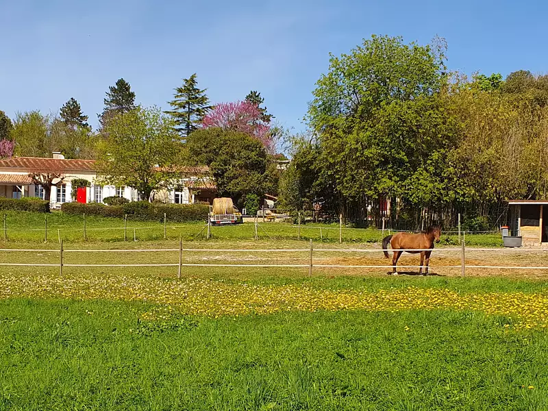 Maison, 251 m²